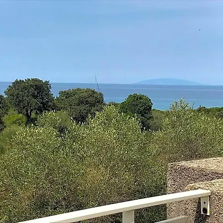 Orizonte